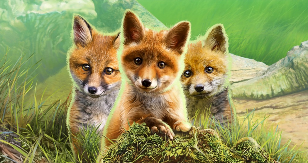 Way Too Cute Forest Cute Foxes IGT Epsilon Gaming Slot Machine Game